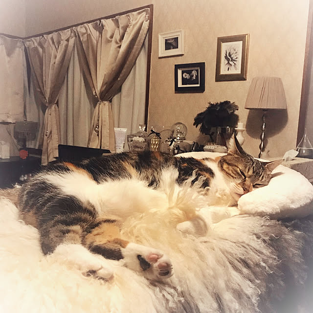 Y.さんの実例写真