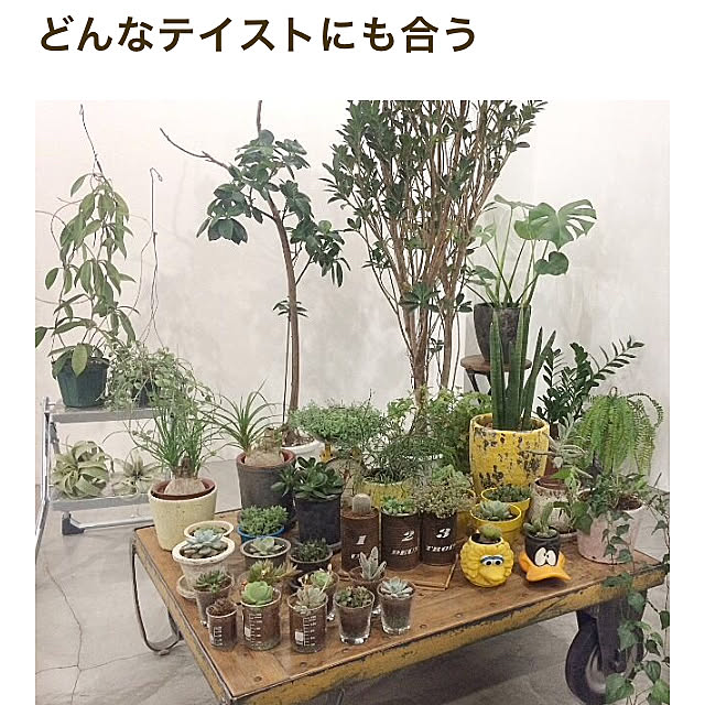 chairgreenさんの実例写真