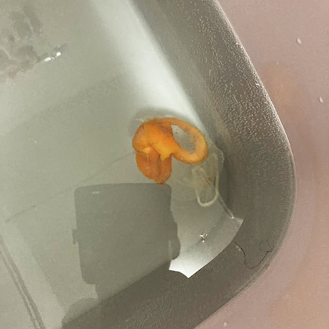 reeさんの実例写真