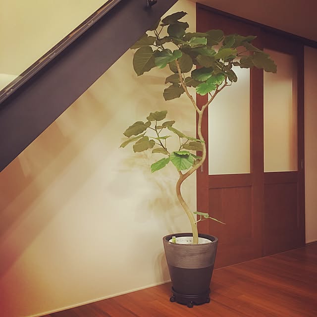 Tsukiyomiさんの実例写真
