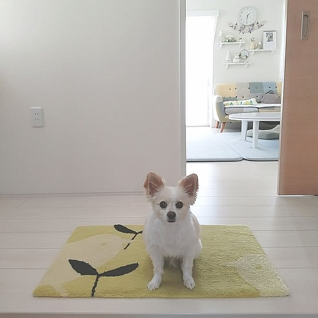 PAOさんの部屋
