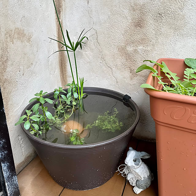 tabasaさんの部屋