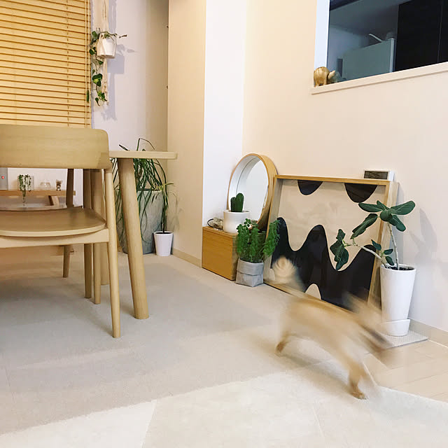 haruhinaさんの実例写真
