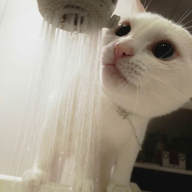 kikinanaさんの実例写真