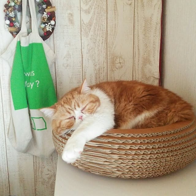 otoさんの実例写真