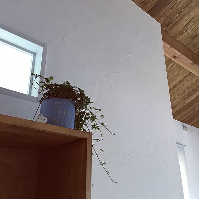 otohinaさんの実例写真