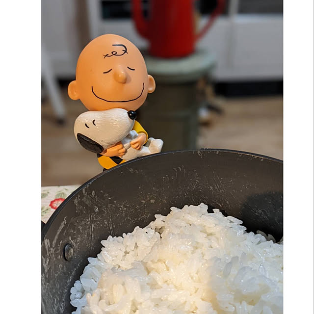 pisaさんの実例写真