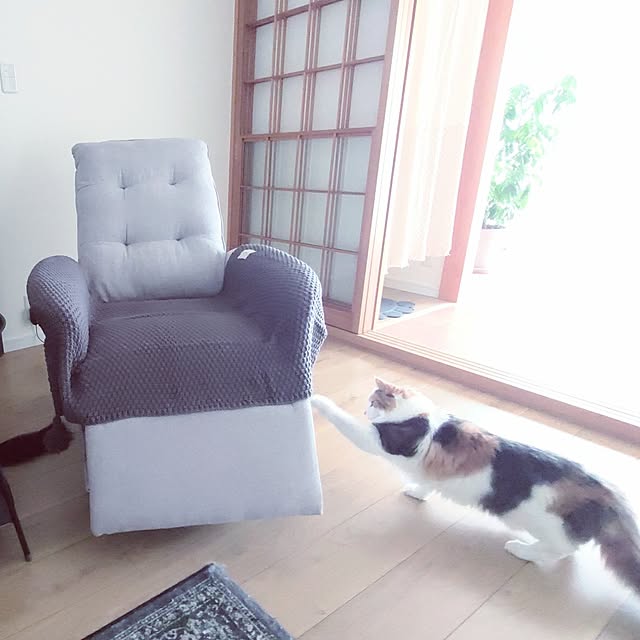 +CHIHARU+さんの実例写真