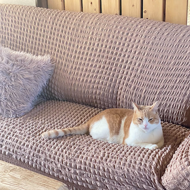 mintteaさんの部屋