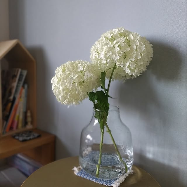 sakiさんの部屋