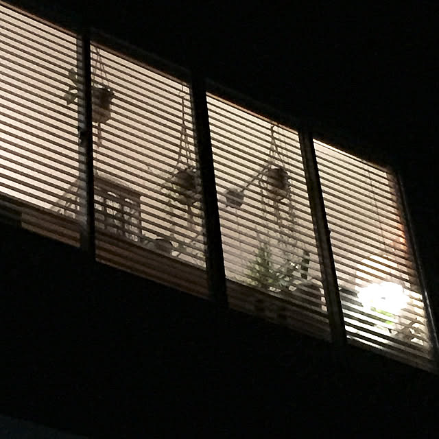 catsmamさんの実例写真