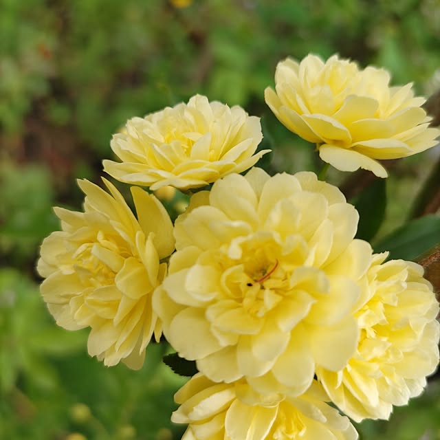 salacocoさんの部屋