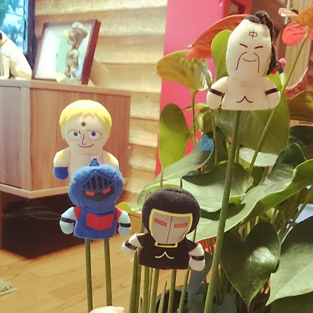 Chiekoさんの実例写真