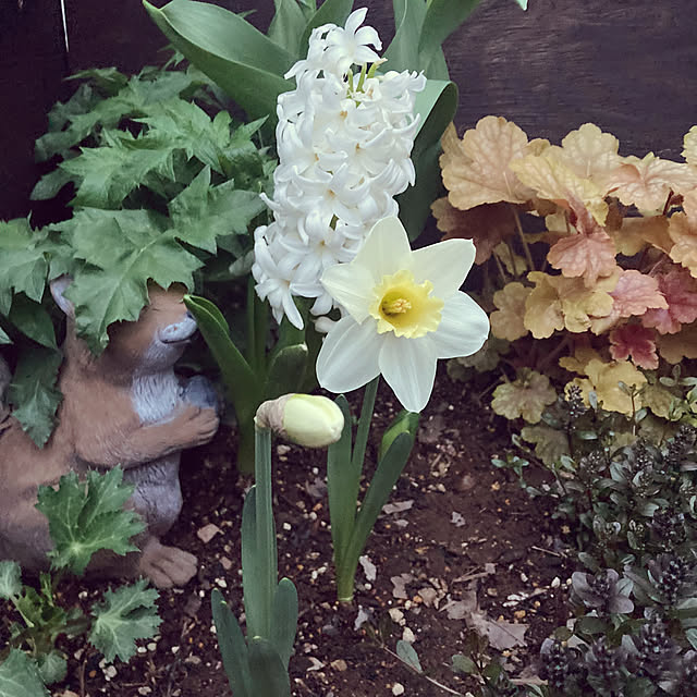 usako66さんの実例写真