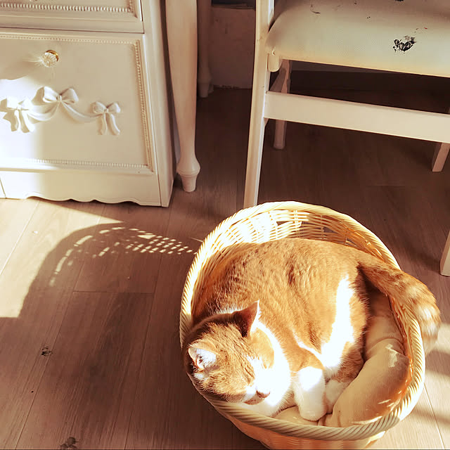 sakuraさんの実例写真