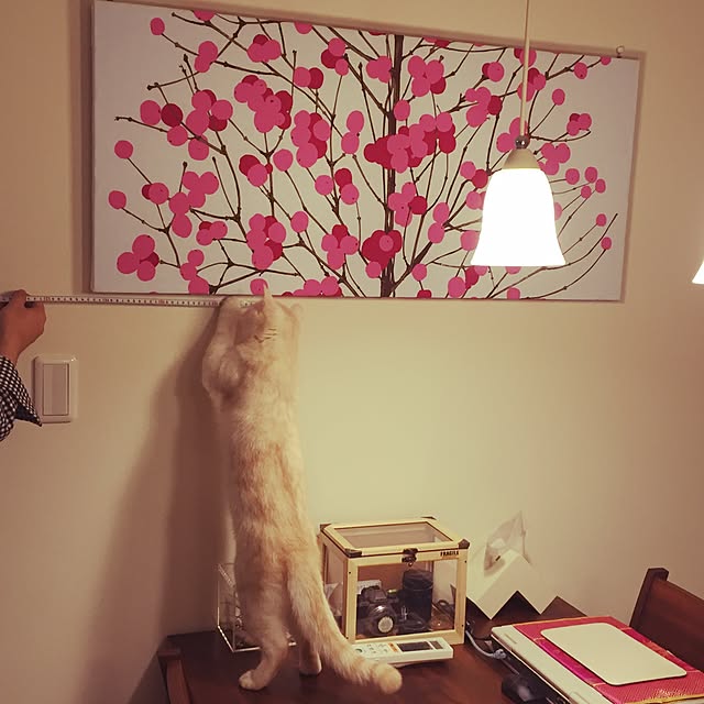 y.k.0123さんの実例写真