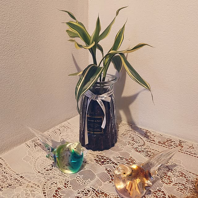 Green-appleさんの実例写真