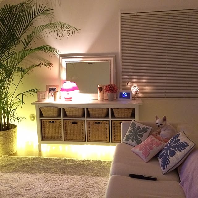 Yuukikarenさんの実例写真