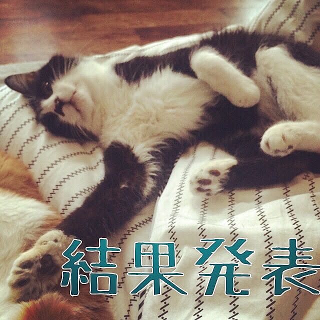 katsuwobushiさんの実例写真