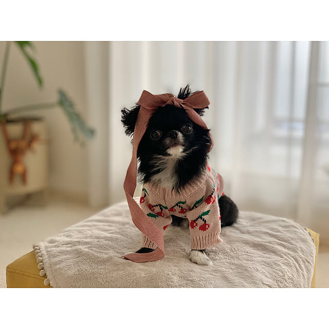 haruhinaさんの実例写真