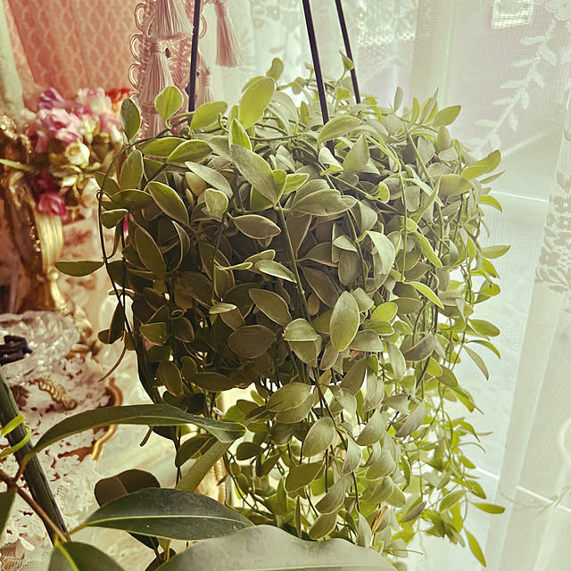 AYUKOさんの実例写真