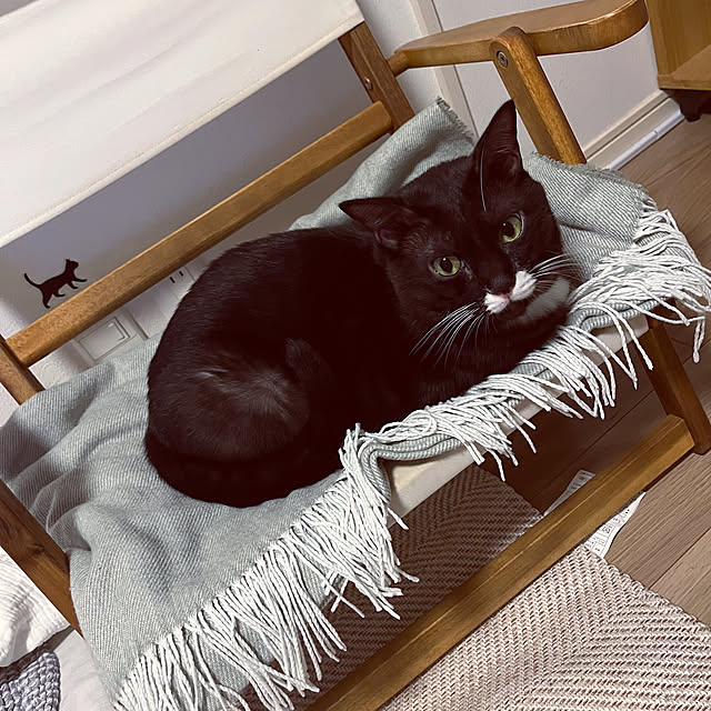 masamasaさんの部屋