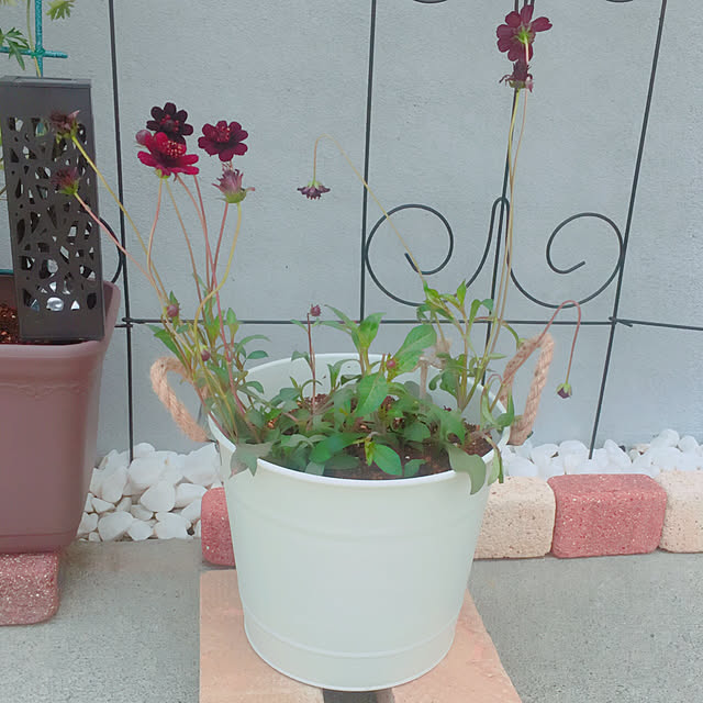 sanaさんの実例写真