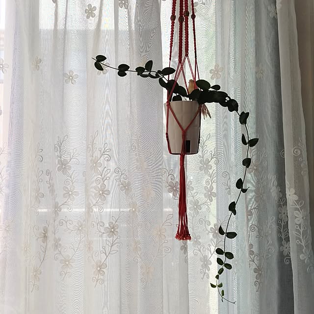 Maroさんの部屋