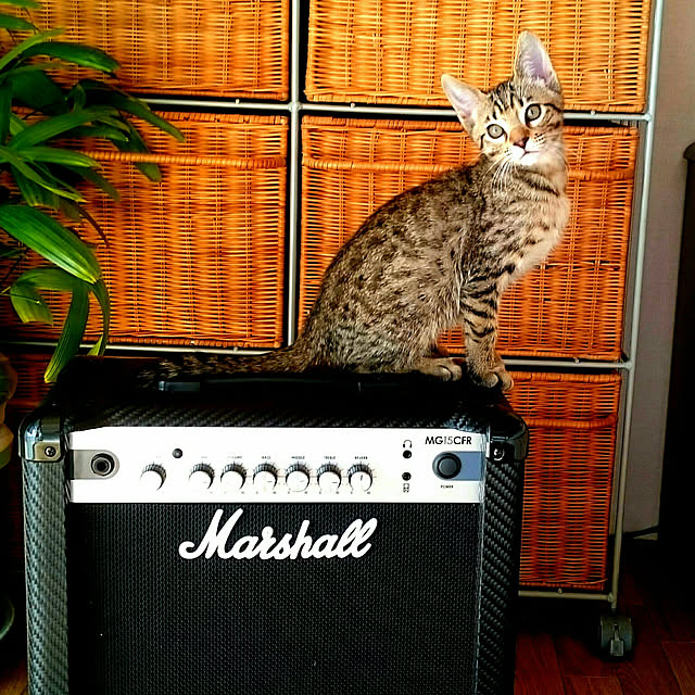 ken.kawakamiさんの実例写真