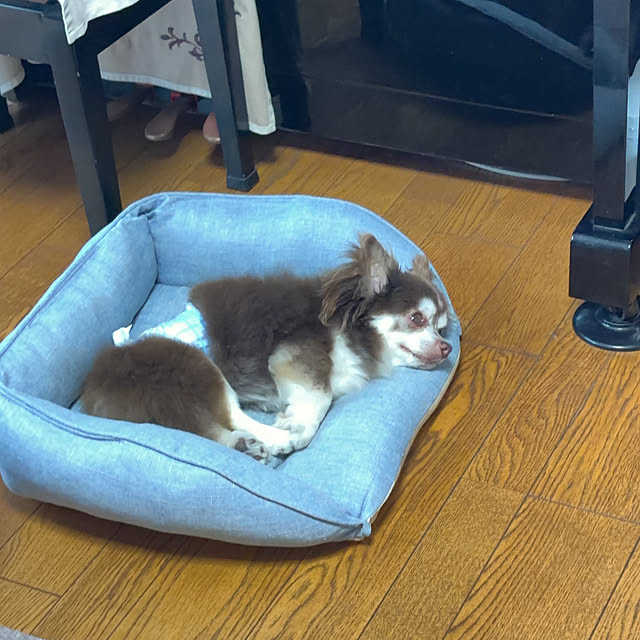chIoeさんの部屋