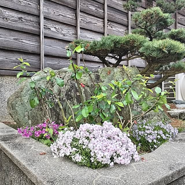 kuririnmamaさんの実例写真