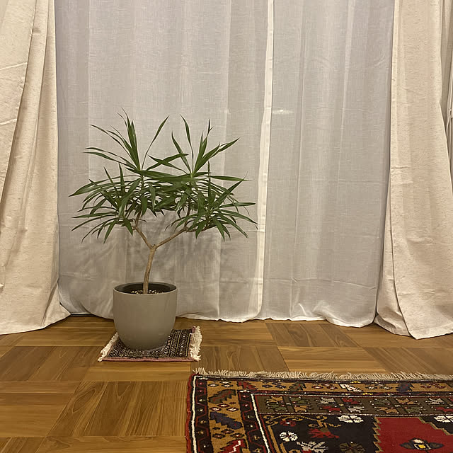 Peperonさんの実例写真