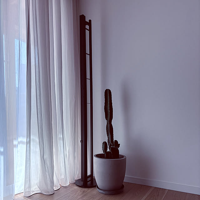 tokimaさんの部屋