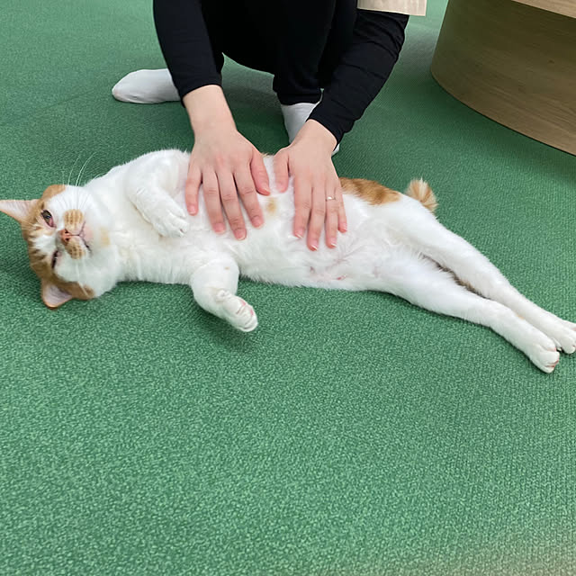 ohanaさんの部屋