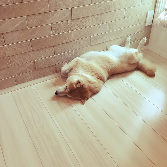 moemonさんの実例写真
