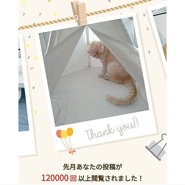 heart.emiemi57.whiteさんの実例写真