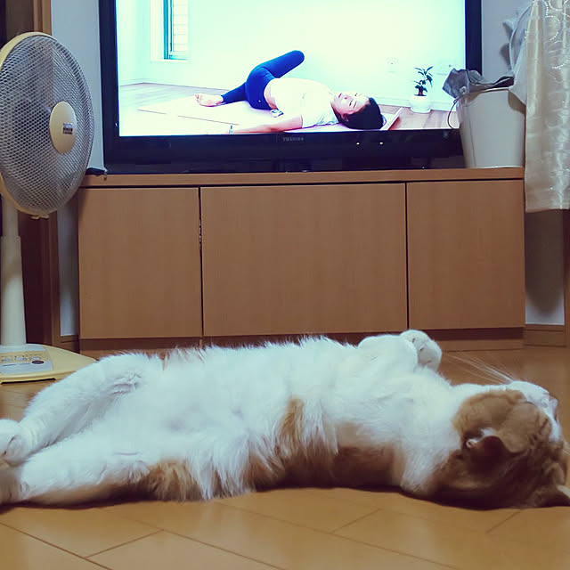 0617さんの実例写真