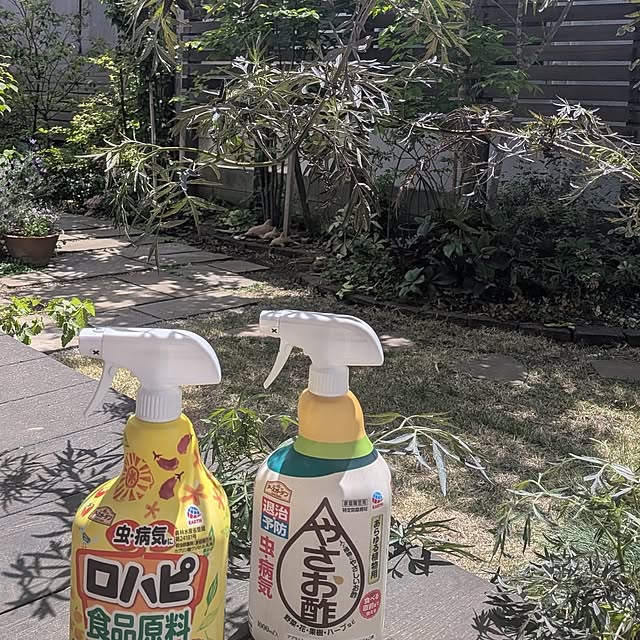 nolleyさんの部屋