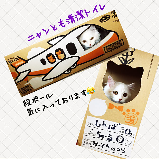 Rieduckさんの実例写真