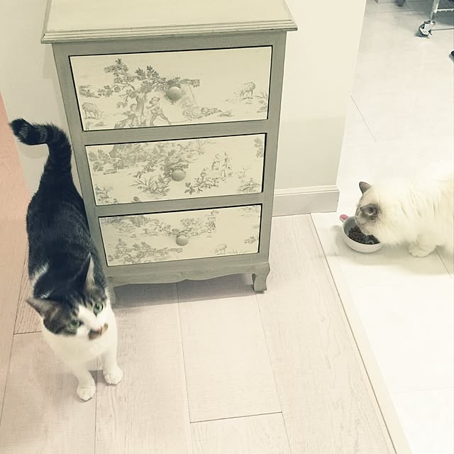 yuchiさんの実例写真