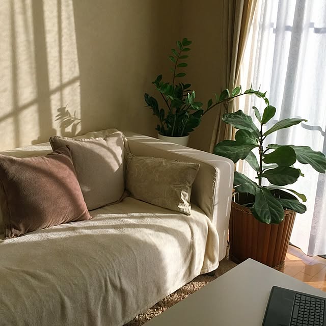 mintさんの実例写真
