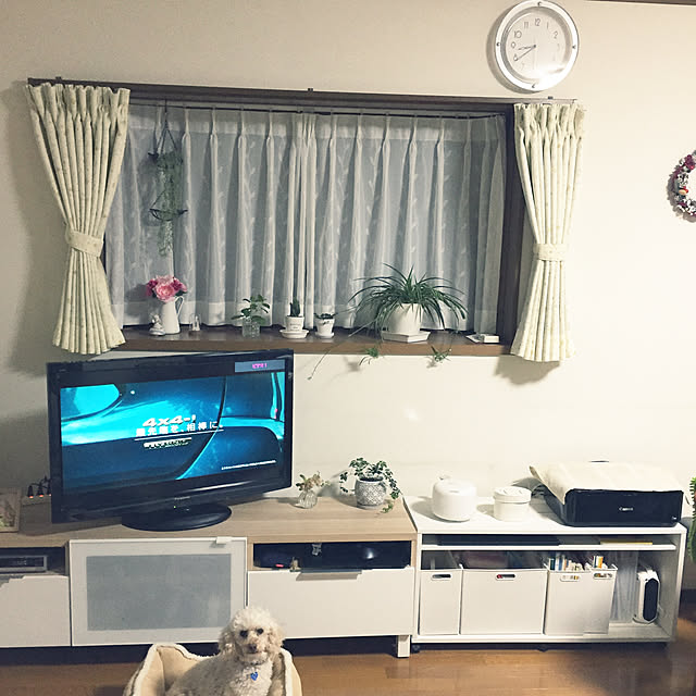 Junran50さんの実例写真