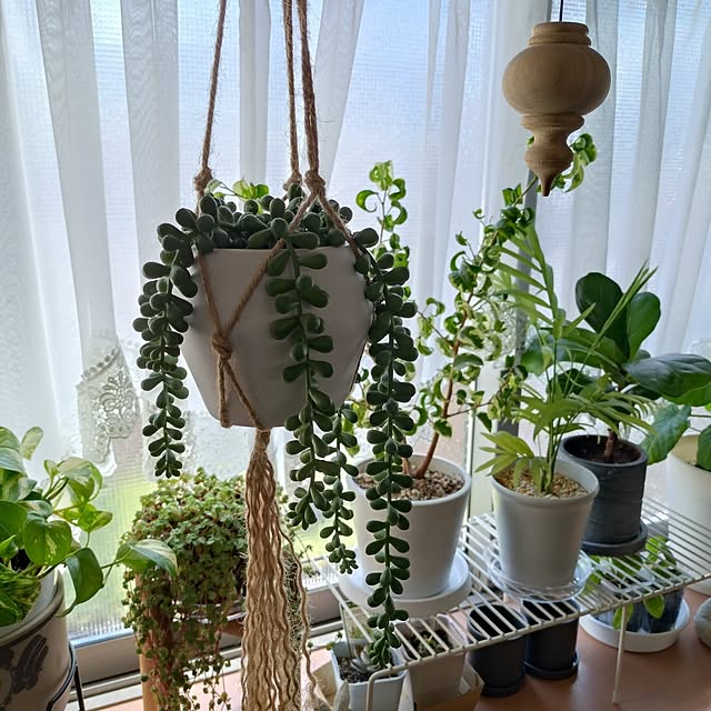 makotomosukeさんの部屋