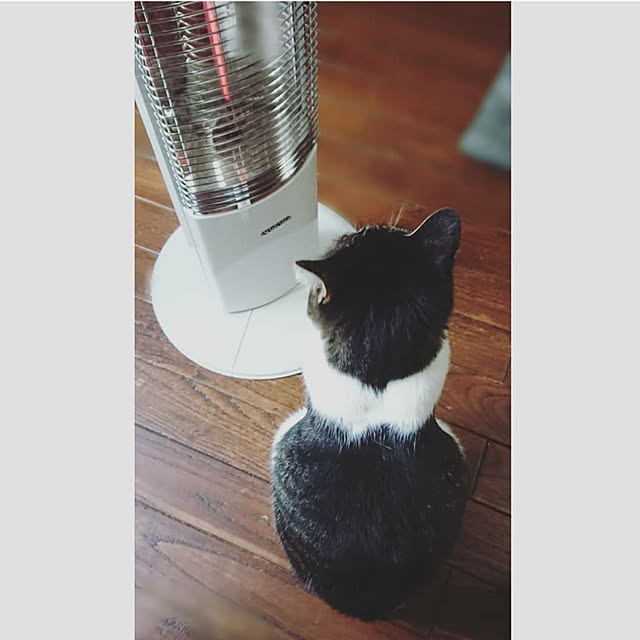 yukiさんの実例写真