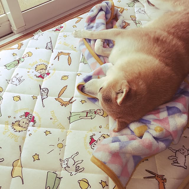 machさんの実例写真