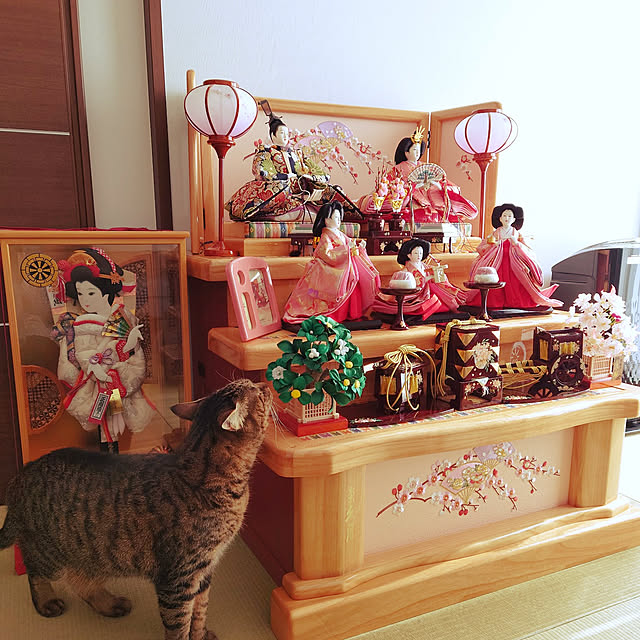 実例写真