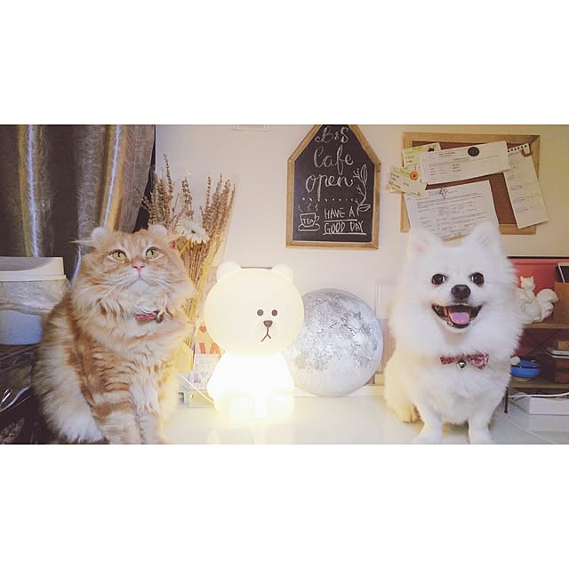 Belleさんの実例写真