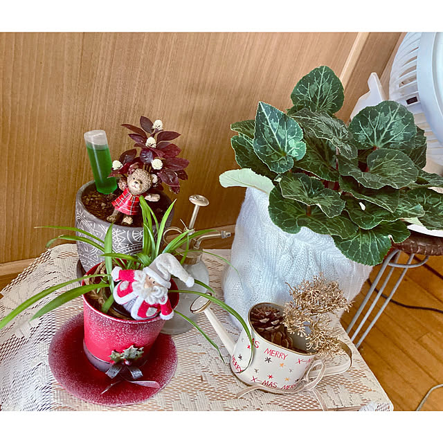 CoCo0617さんの部屋