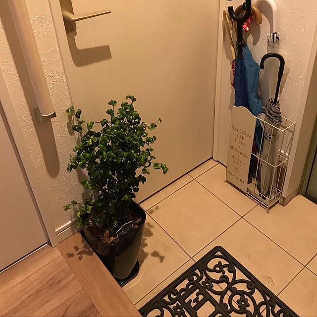 nacchintunnさんの実例写真