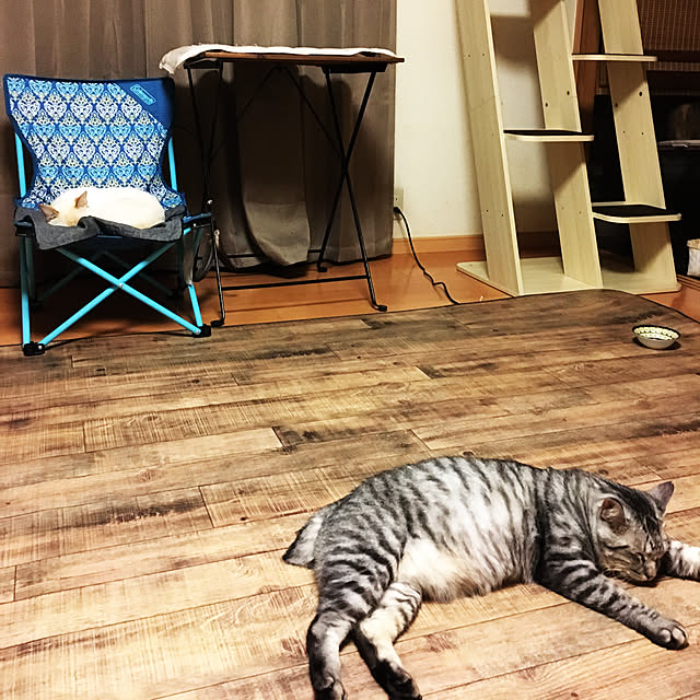 junbuさんの実例写真
